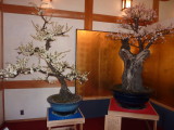 img0008.jpg