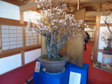img0013.jpg