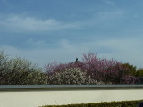 img0038.jpg