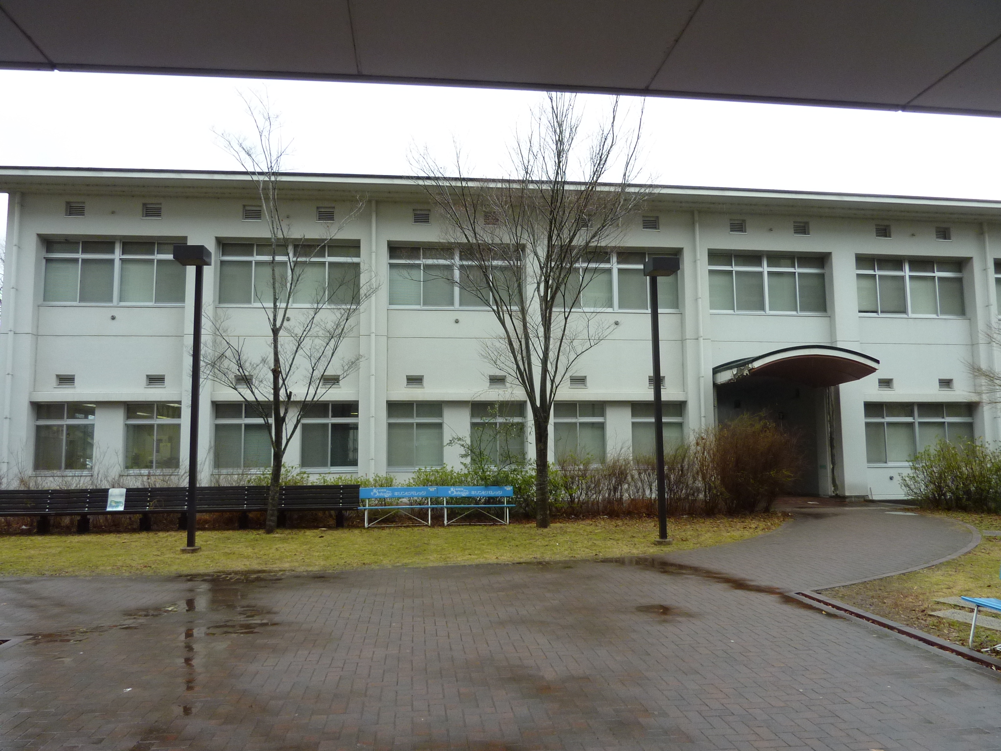 P1100990.JPG