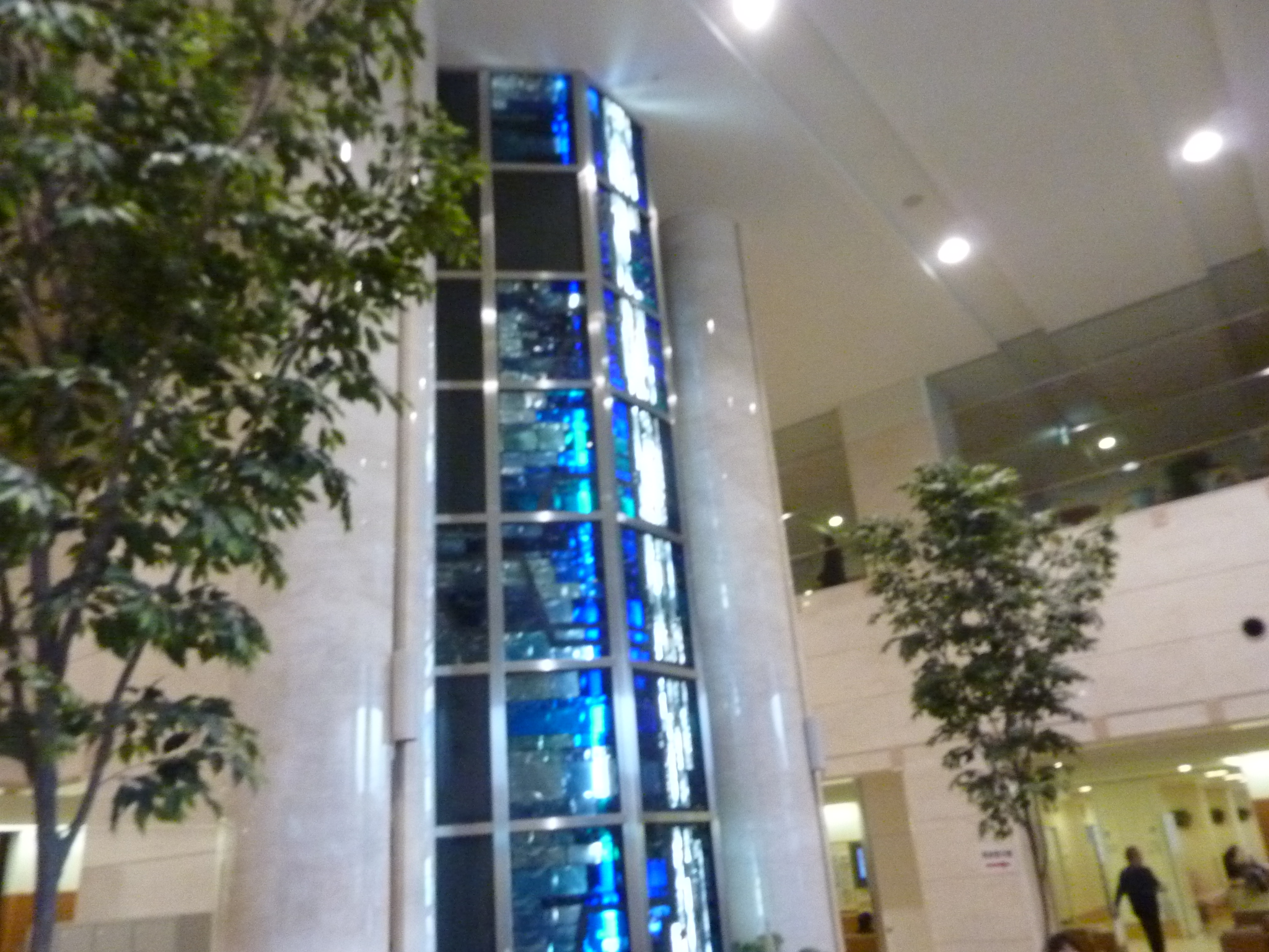 P1110033.JPG