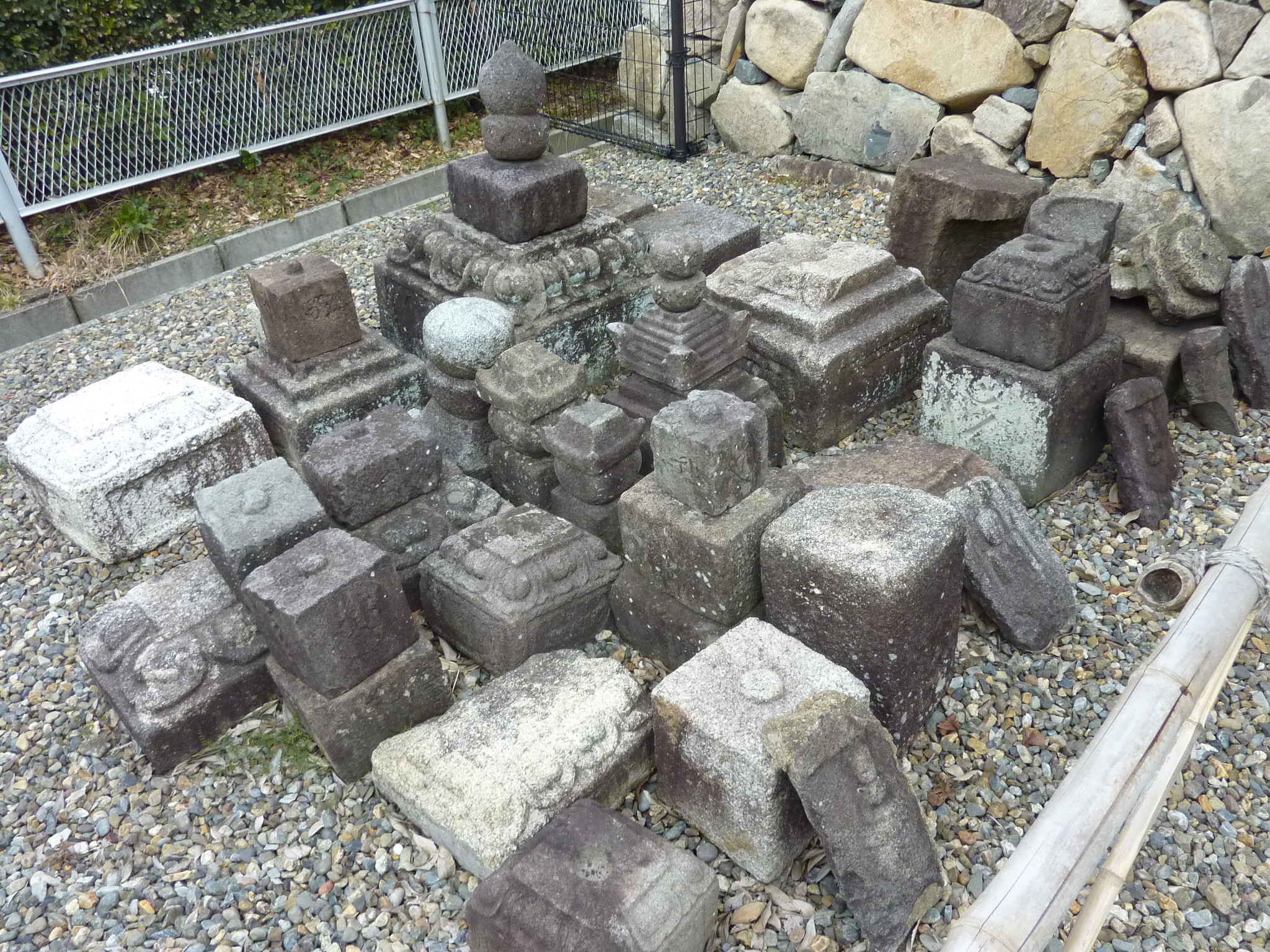 P1110074.JPG