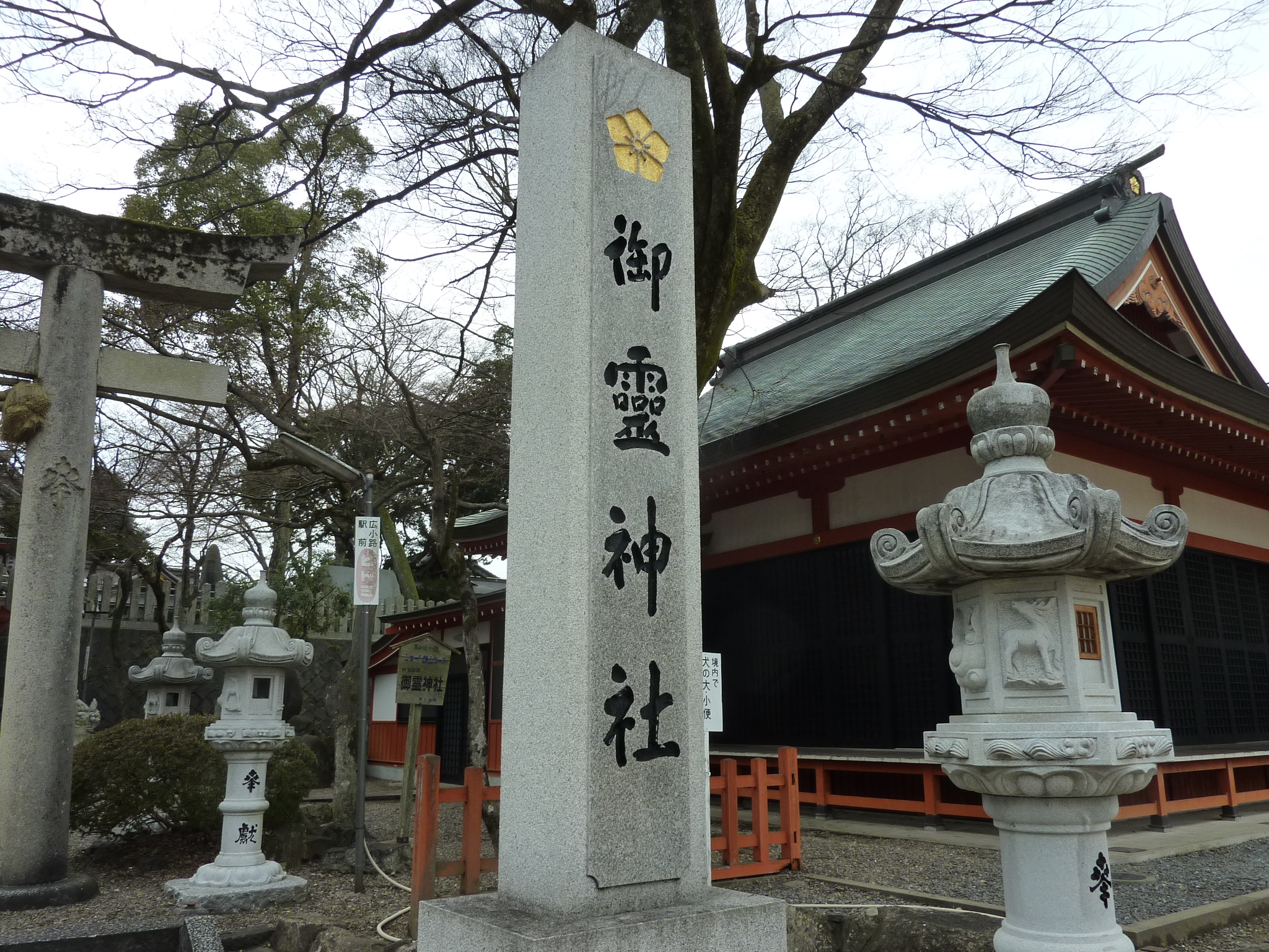 P1110085.JPG