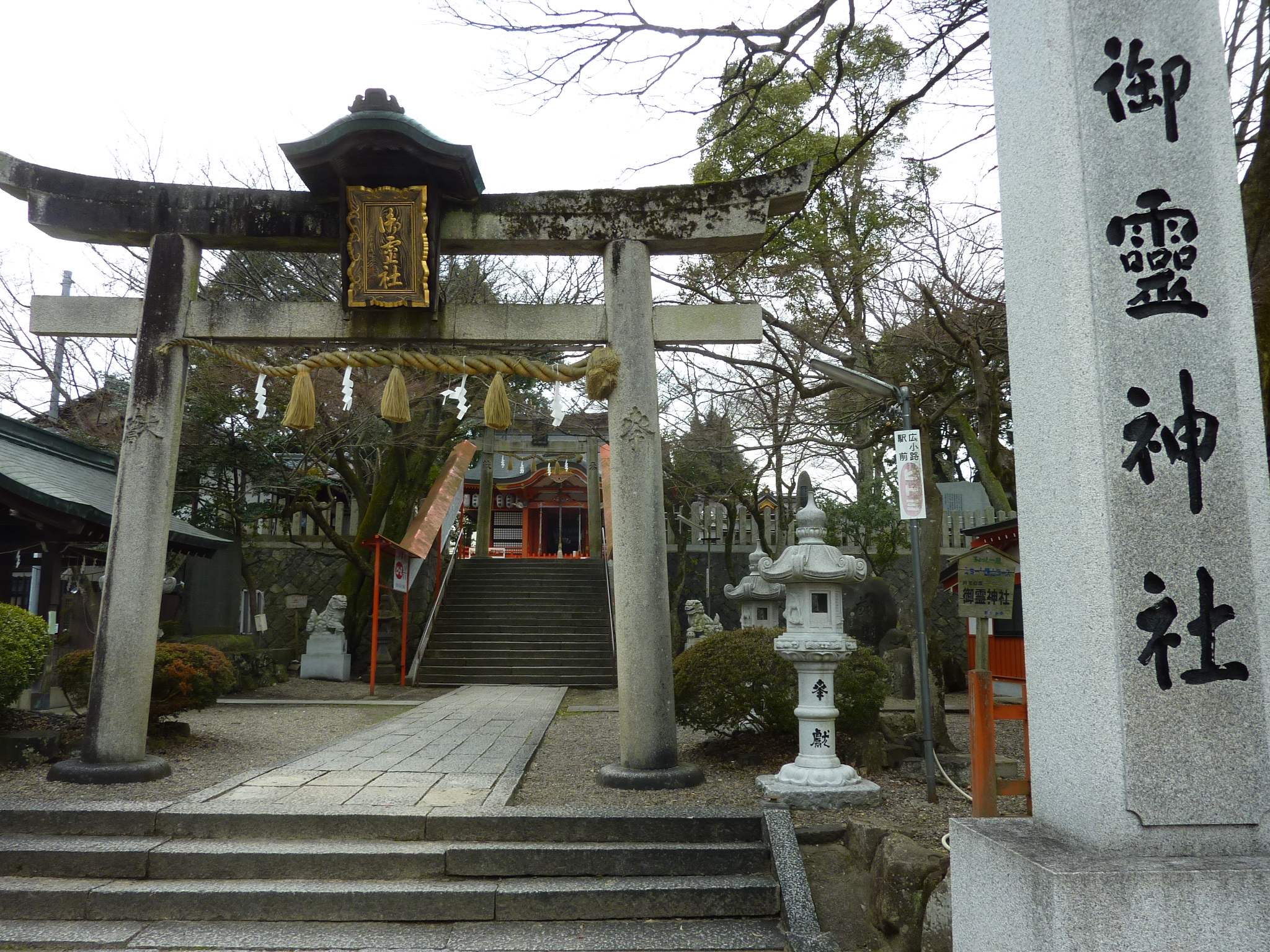 P1110086.JPG
