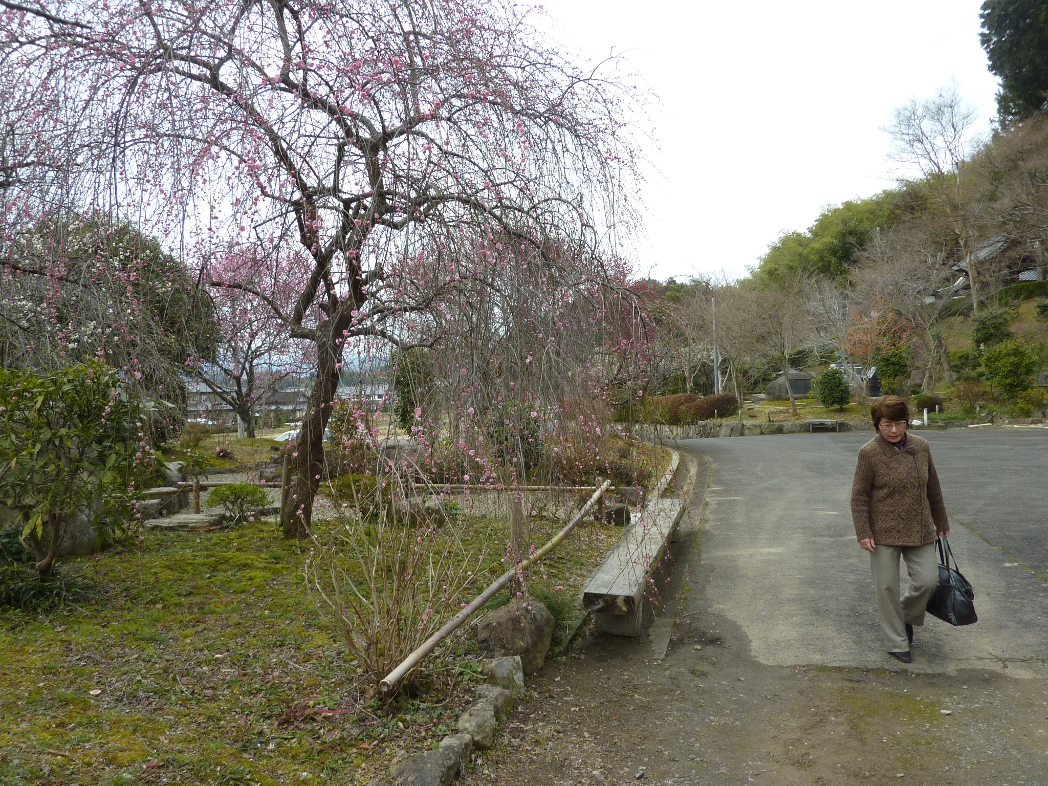 P1110109.JPG