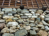 img0015.jpg