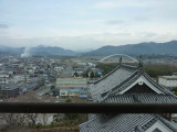 img0020.jpg