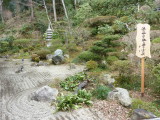 img0045.jpg
