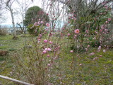 img0047.jpg