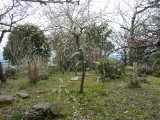 img0049.jpg