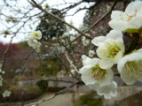img0052.jpg