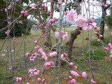 img0053.jpg