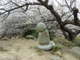 img0007.jpg
