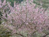 img0012.jpg