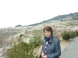 img0013.jpg
