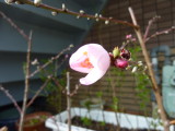 img0007.jpg