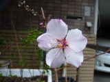 img0000.jpg