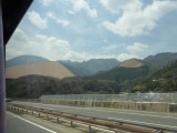 img0011.jpg