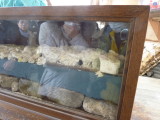 img0028.jpg