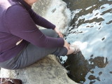 img0050.jpg