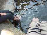 img0052.jpg