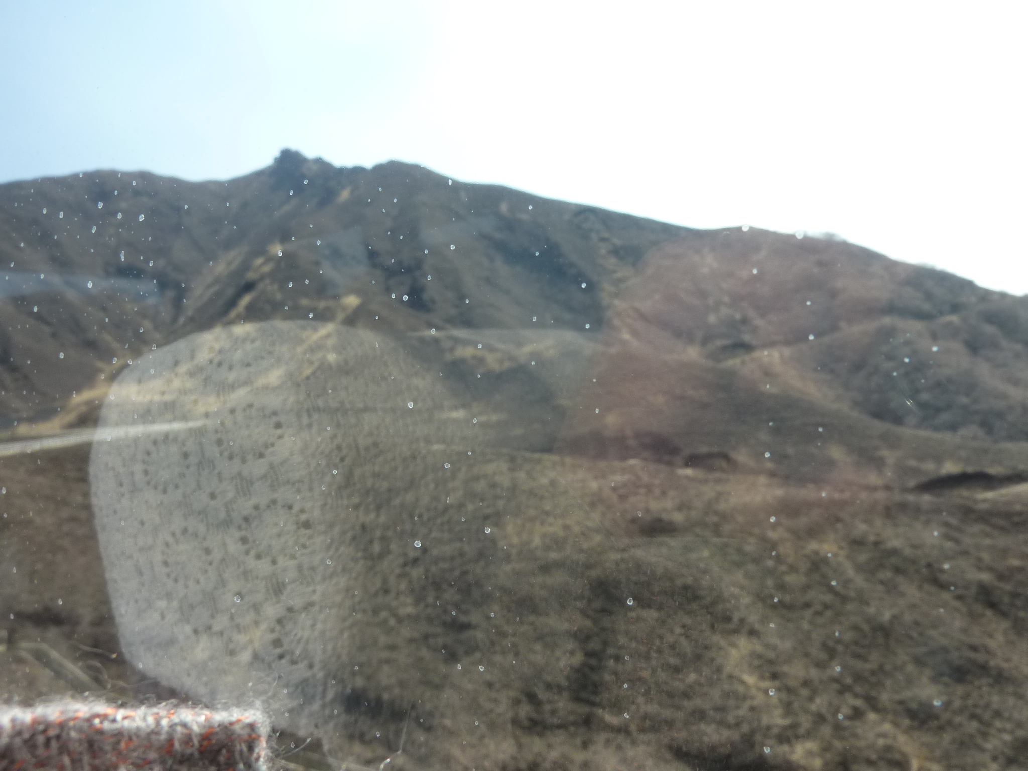 P1120424.JPG