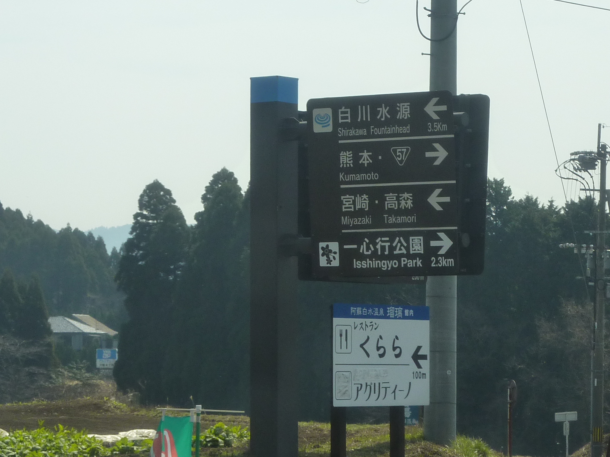 P1120427.JPG