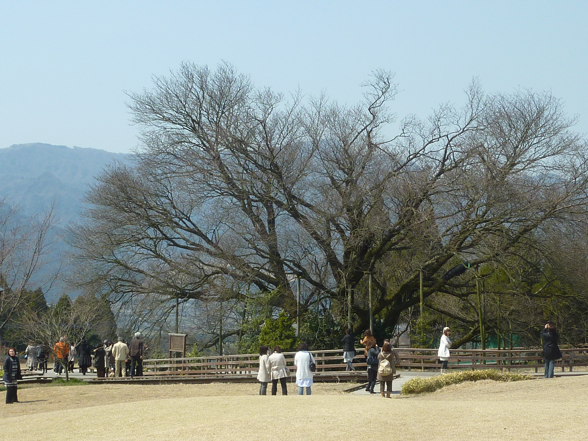 P1120428.JPG