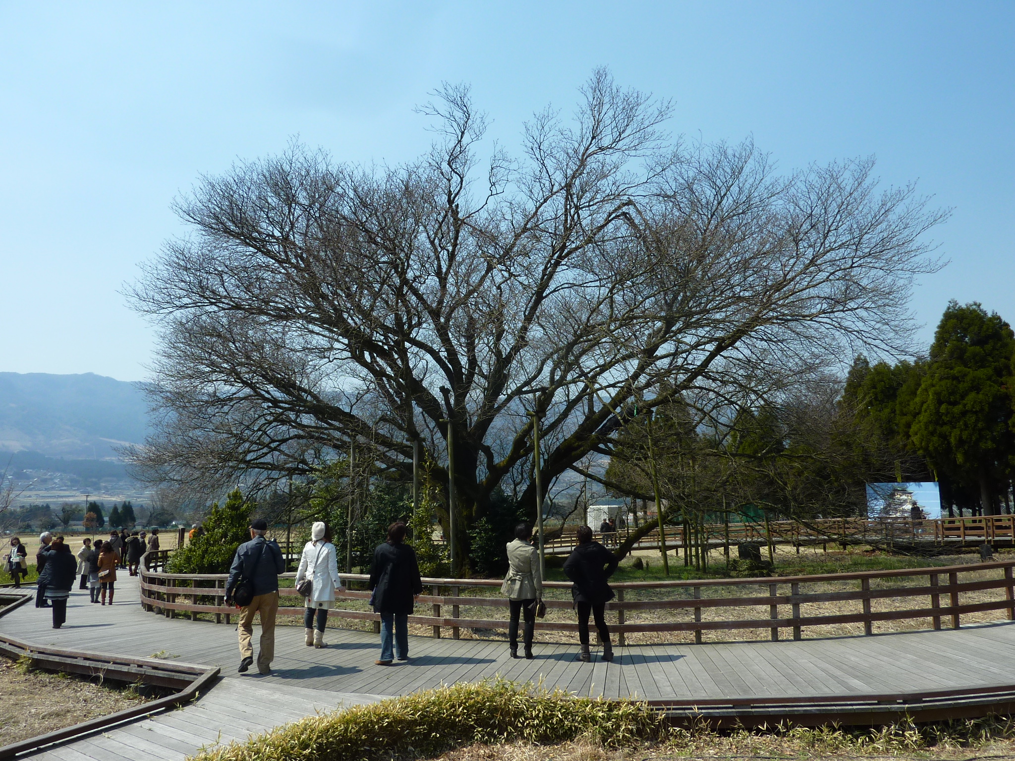 P1120429.JPG