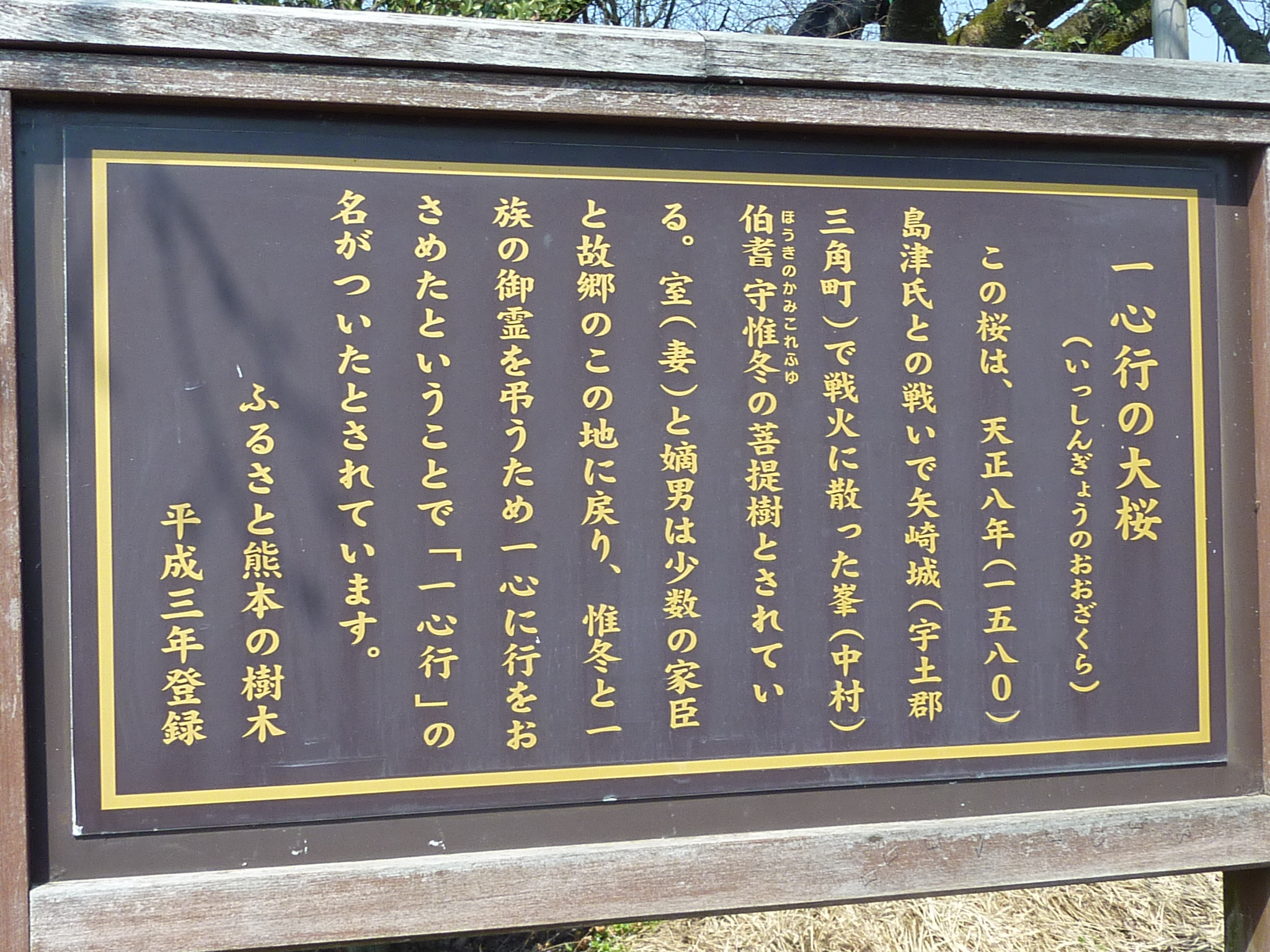 P1120431.JPG