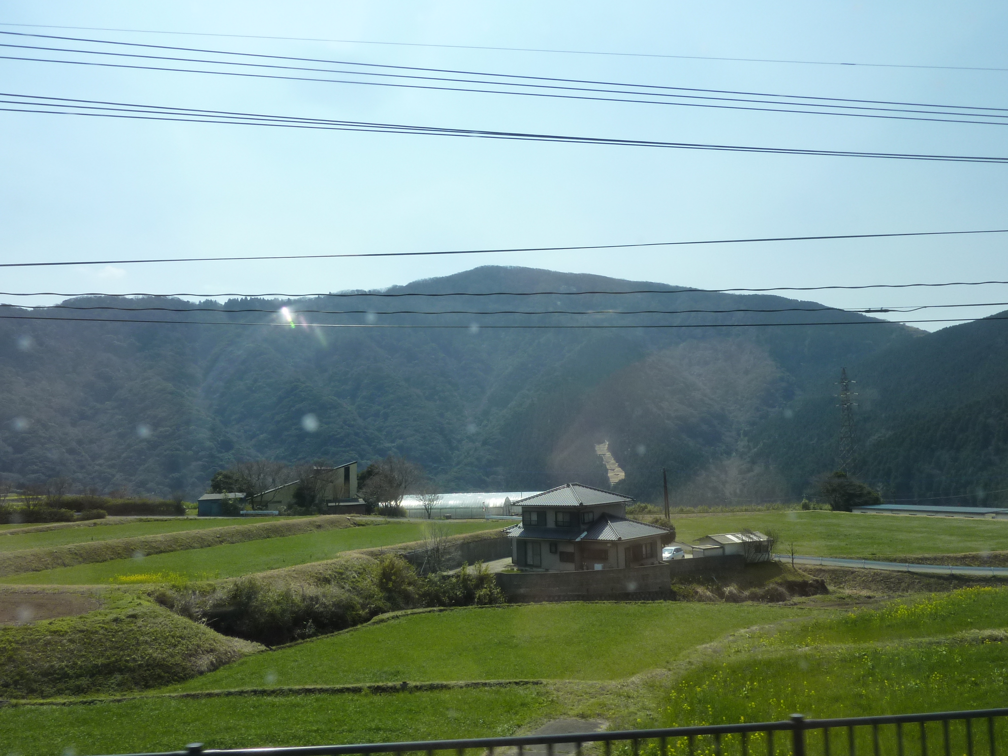 P1120435.JPG