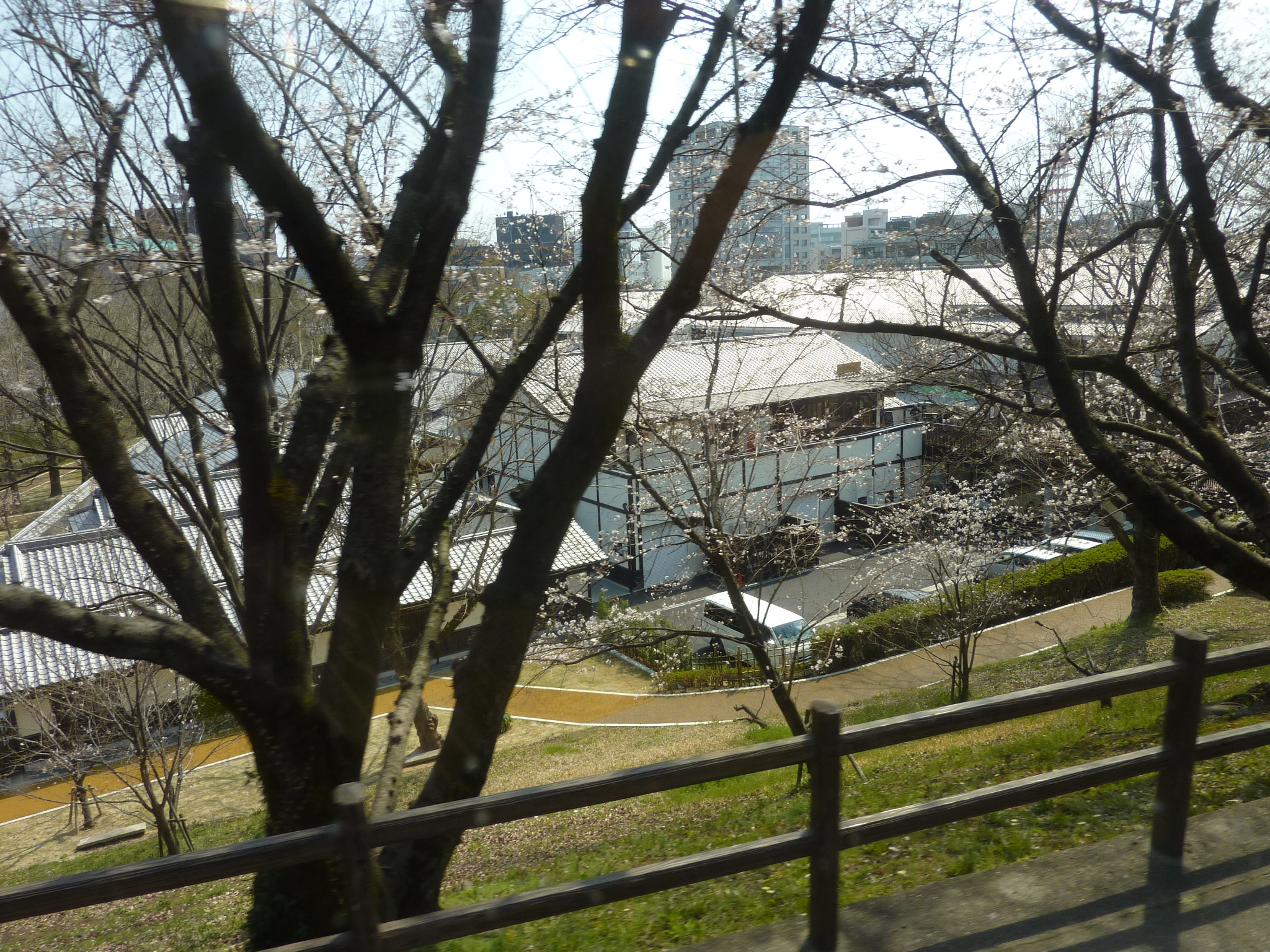 P1120442.JPG