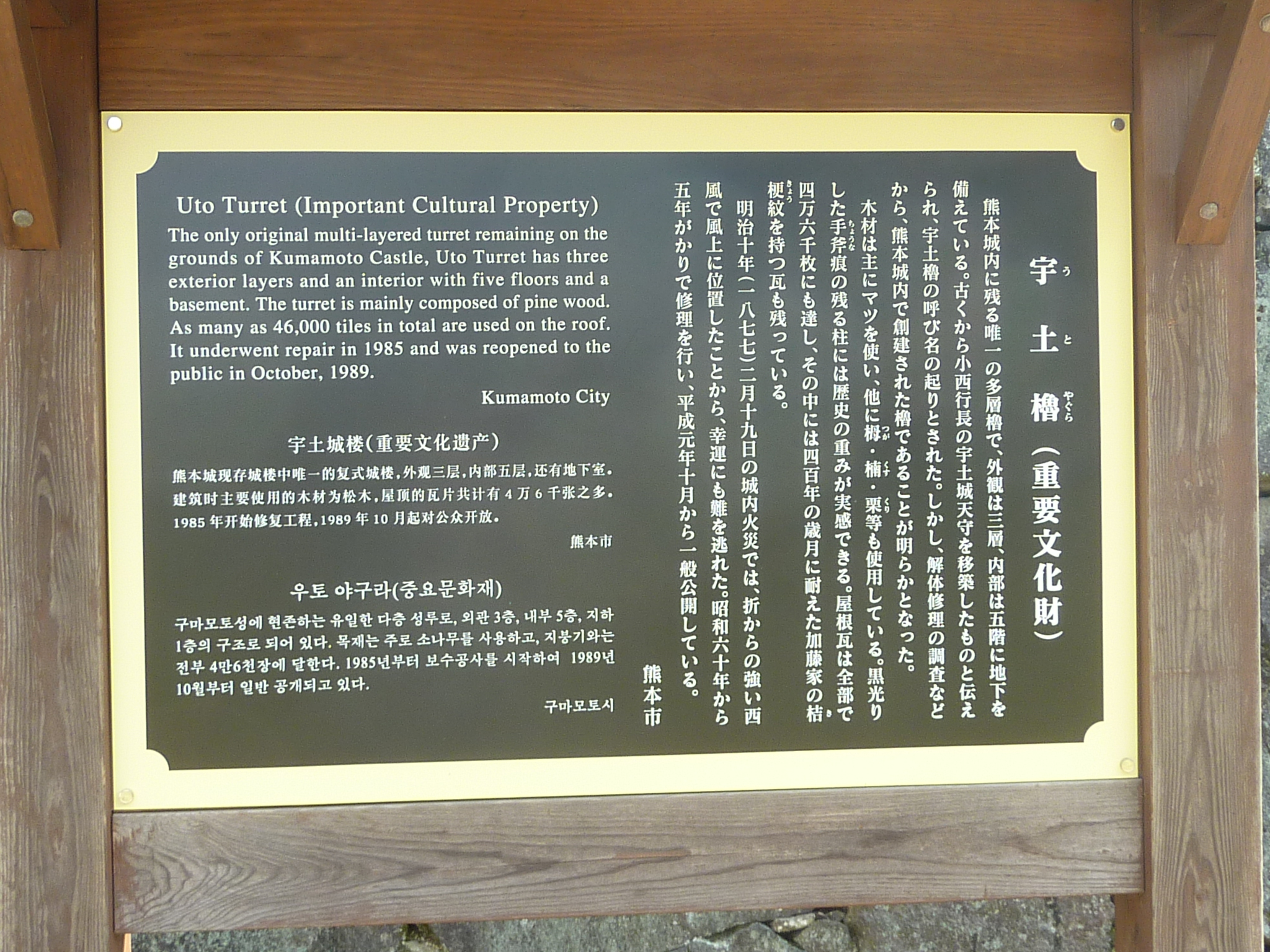 P1120494.JPG