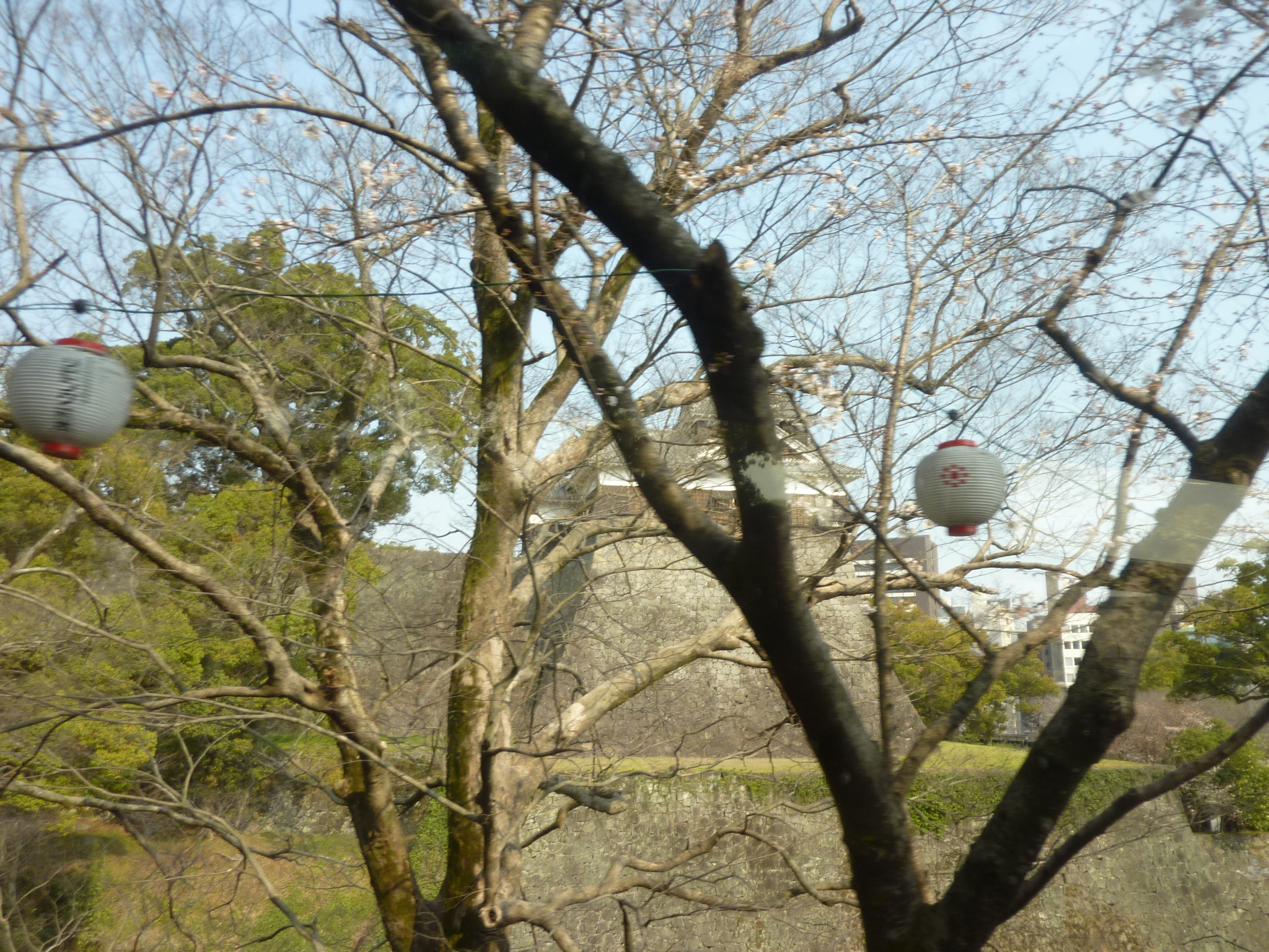 P1120514.JPG