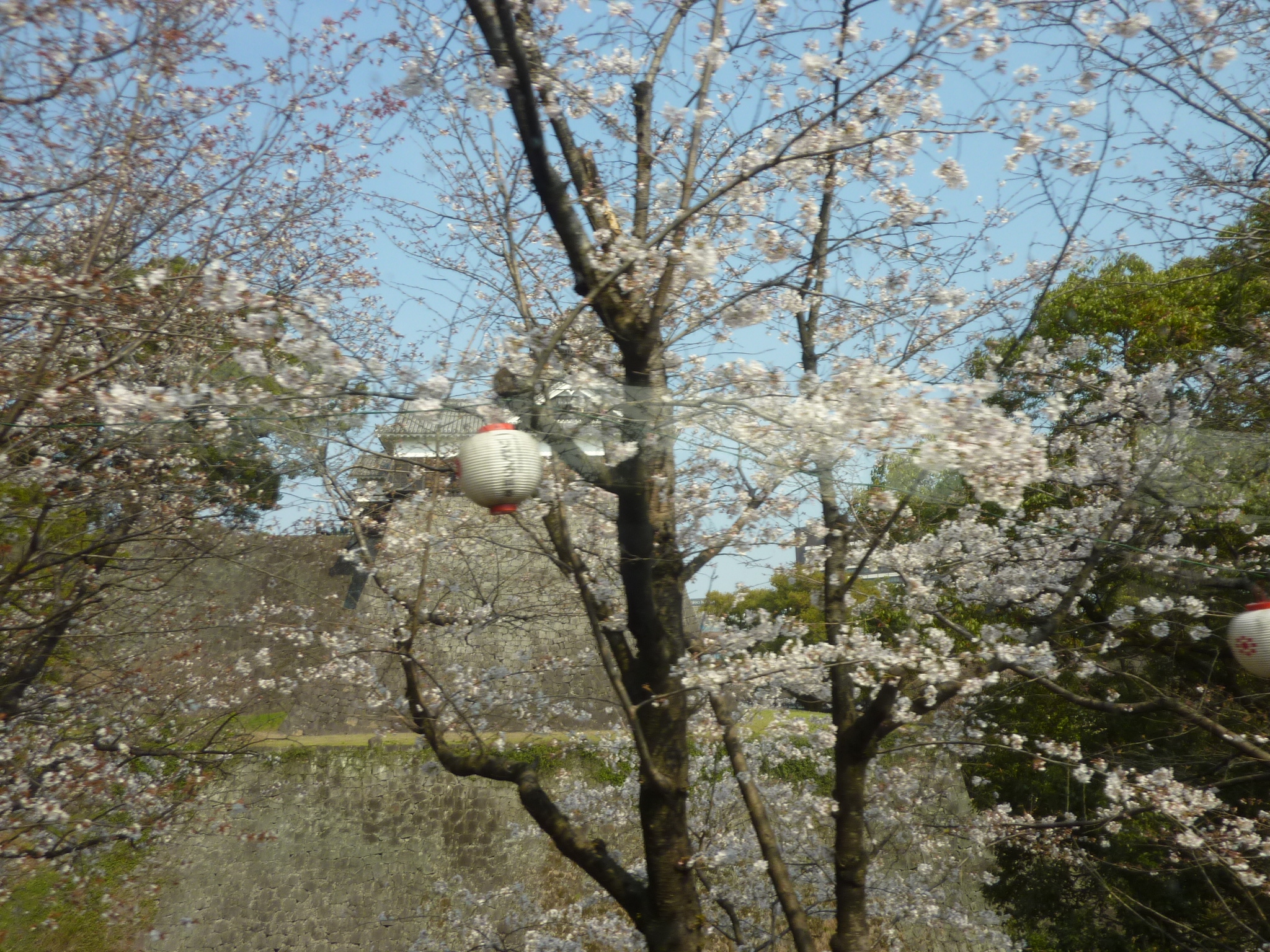 P1120515.JPG
