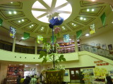 img0017.jpg