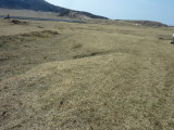 img0033.jpg