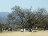 img0041.jpg