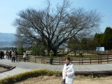 img0043.jpg