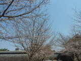img0055.jpg