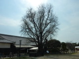 img0074.jpg