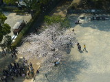 img0085.jpg