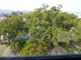 img0114.jpg