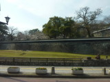 img0129.jpg