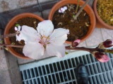 img0013.jpg