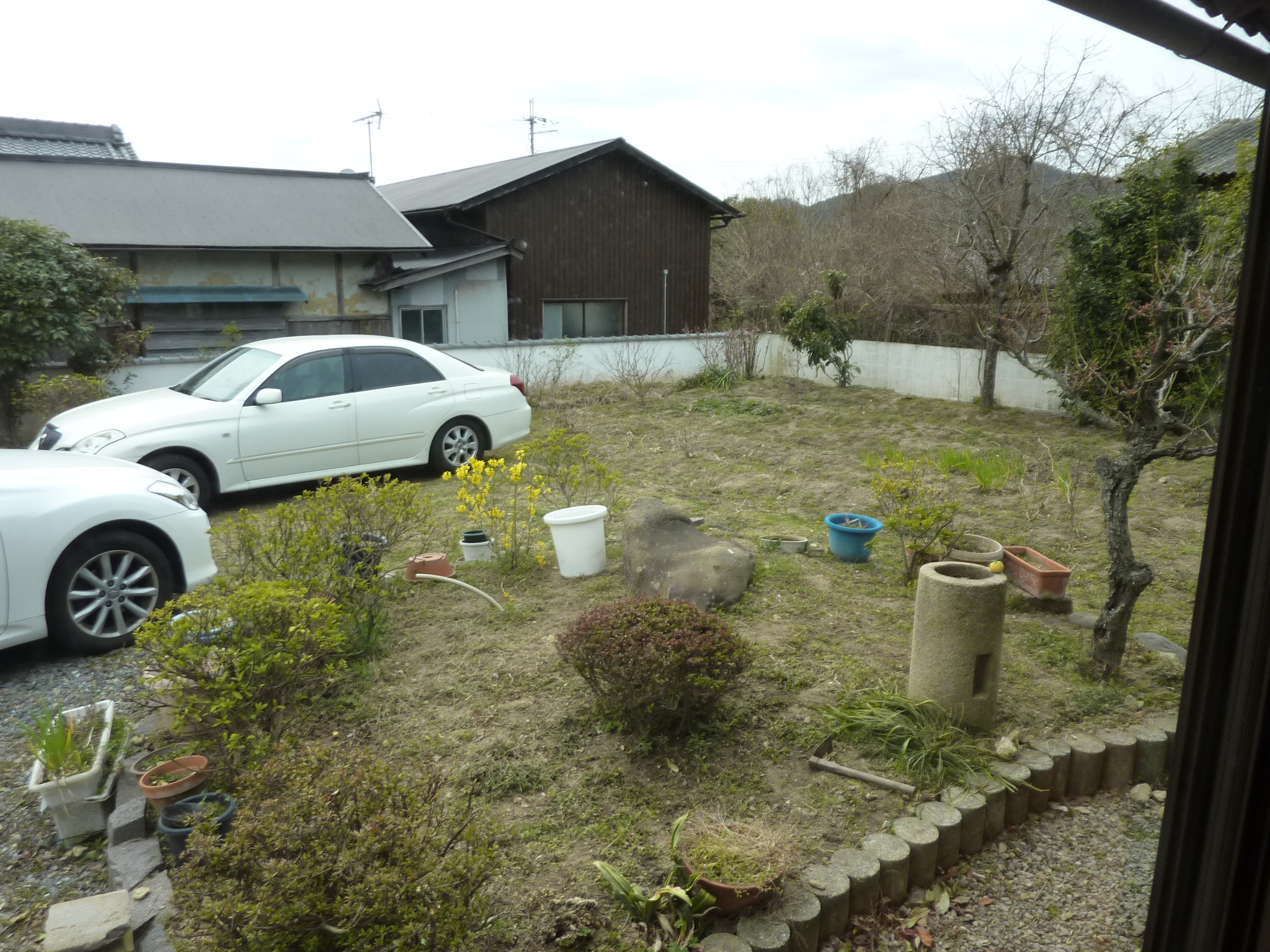 P1120635.JPG