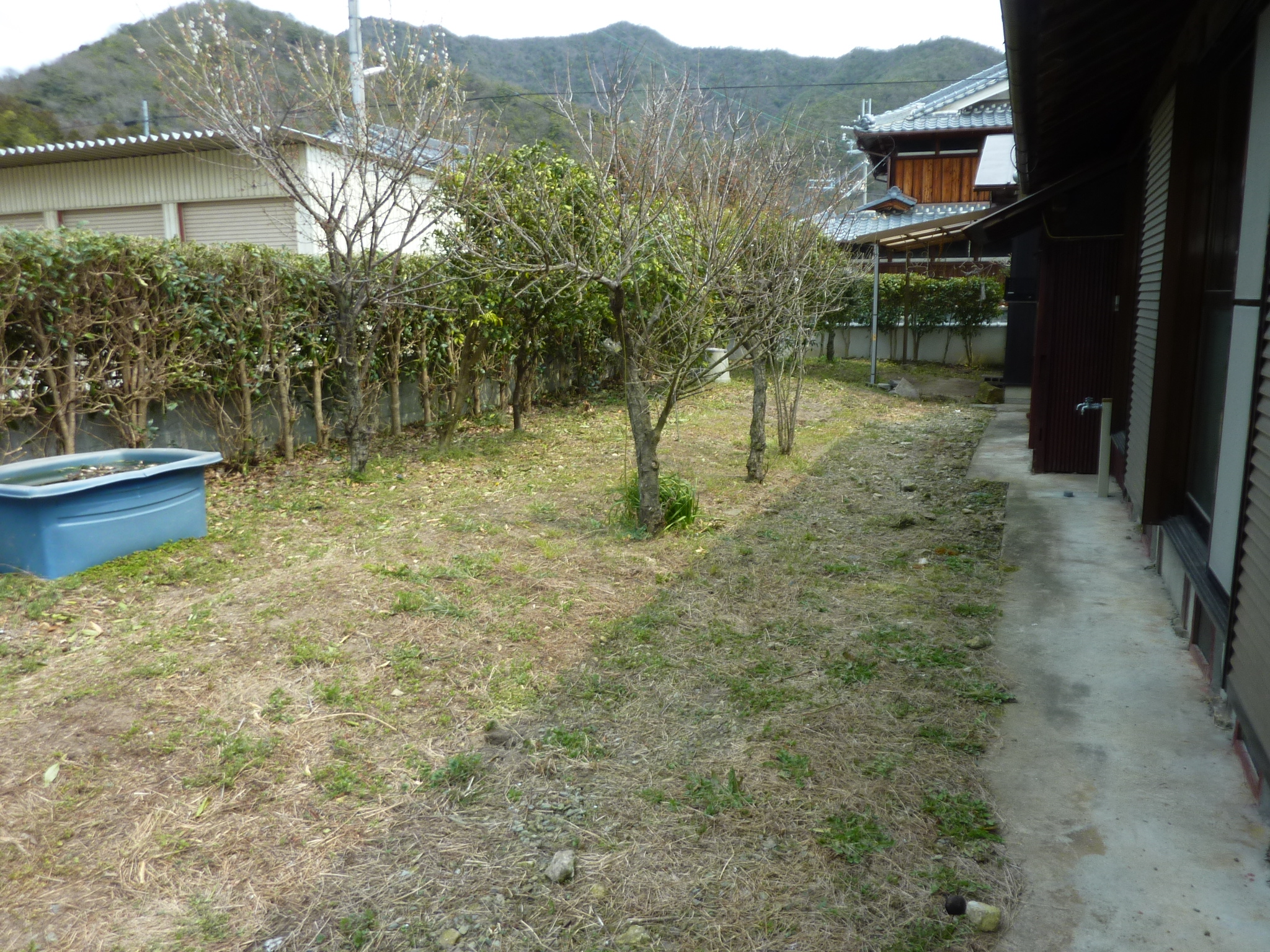 P1120637.JPG