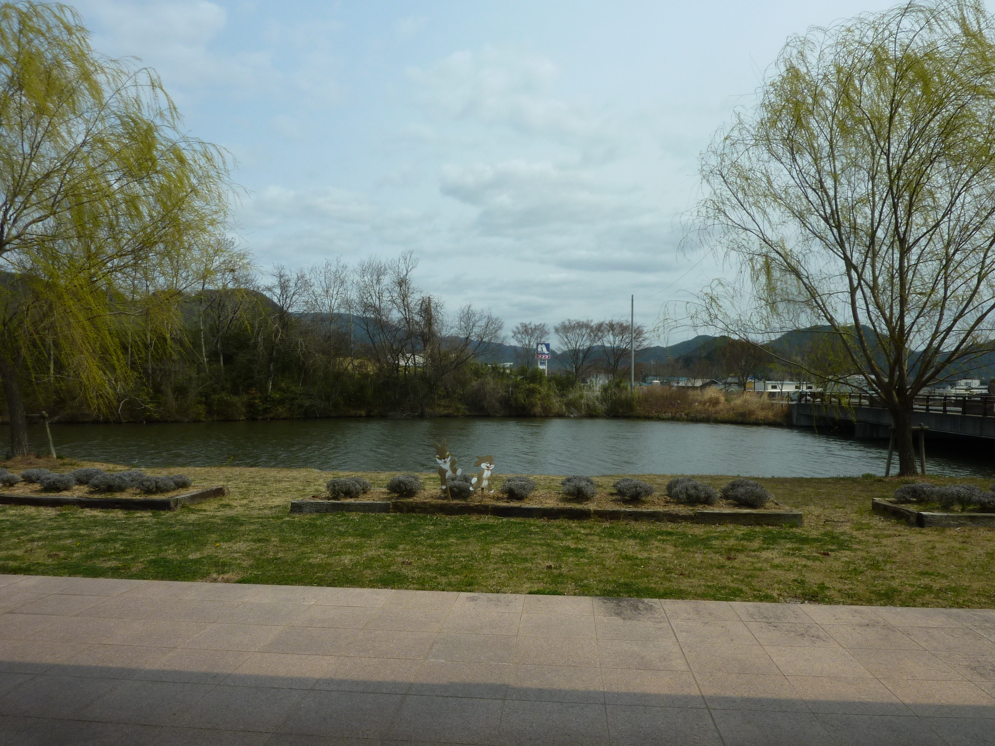 P1120655.JPG