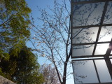 img0000.jpg
