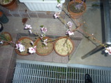 img0004.jpg
